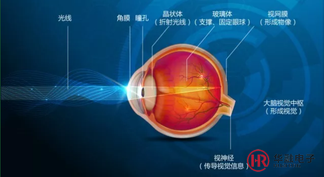 人眼範圍